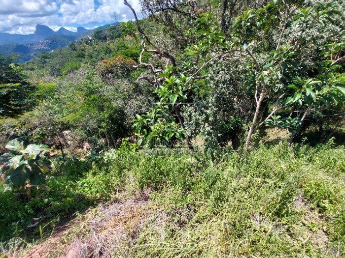 Terreno Bonsucesso, Petrópolis (5226)