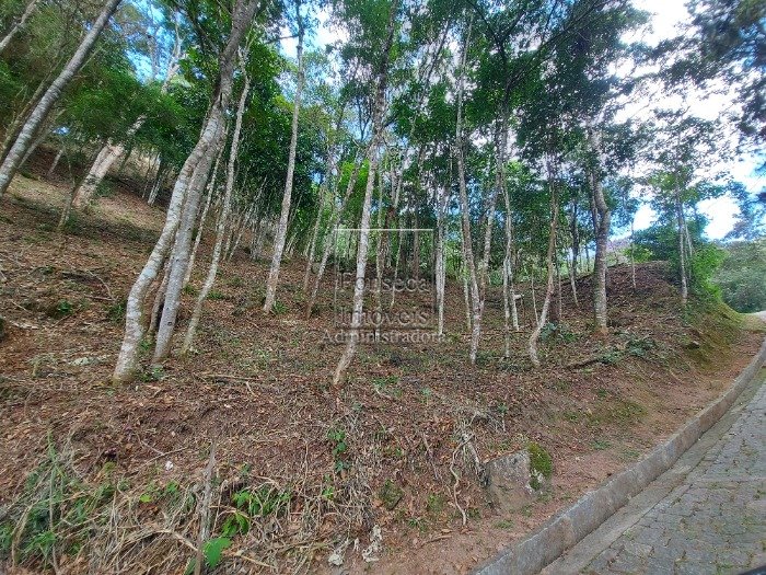 Terreno Parque Rio da Cidade, Petrópolis (5284)